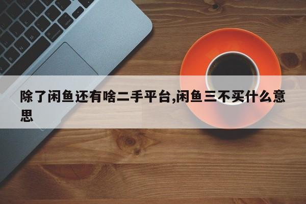 除了闲鱼还有啥二手平台,闲鱼三不买什么意思